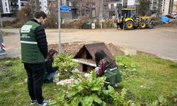 Giresun'da Yeşilay gönüllülerinden hayvanlara mama desteği