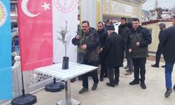 Hanönü’de Orman Haftasında Fidan Dağıtımı Yapıldı