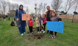 Suluova’da öğrenciler 100 fidanı toprakla buluşturdu