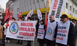 ‘Emeklilere İki Bayramda Birer Maaş İkramiye Verilsin’