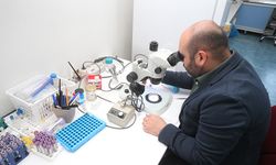 30 Bini Aşkın Kene Bilimsel Çalışmalar İçin Saklanıyor