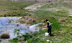 Bayburt'ta karasinek ve sivrisinekle mücadeleye başlandı