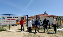 Karabük'te kısa kısa