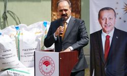 Osmancık’ta çeltik üreticilerine yüzde 50 hibe destekli yerli tohum dağıtıldı