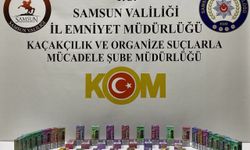 Samsun'da kaçakçılık operasyonunda 1 zanlı yakalandı