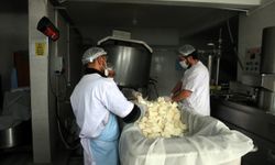 Tokat'ta beldeye kurulan süt işleme tesisi çiftçiye pazar oldu