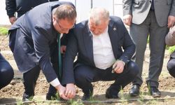 Gelgör, Sera Projesi Hakkında Konuştu