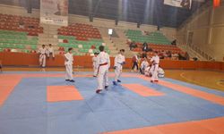 Karate Turnuvası Tamamlandı