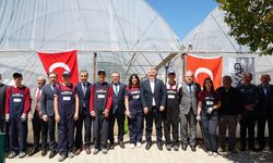 Okul Bahçesine Sera Kuruldu, Kuşkonmaz Yetiştirilecek