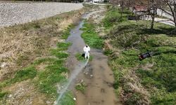Sungurlu, İlaçlamayla Yaza Hazırlanıyor