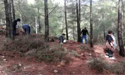 Istranca Ormanları'nda Mantar Bolluğu! Vatandaşlar Kilosunu 150 Liradan Satıyor