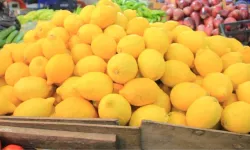 Limonun Fiyatı Ekim Ayında Tarladan Markete Gelene Kadar Yüzde 683 Arttı