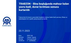 Trabzon'da Bina Boşluğunda Mahsur Kalan Kedi Yavrusu, Duvar Kırılarak Kurtarıldı