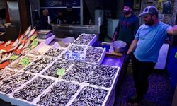Trabzon'da Hamsinin Kilogramı 35 Liradan Tüketiciyle Buluşturuluyor