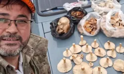Bayramiç’te Kanlıca Mantarı Köylünün Gelir Kapısı Oldu