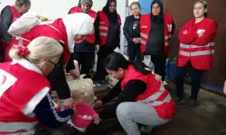 Dezavantajlı Bayanlar İstiridye Mantarı Üreterek Kazanıyor