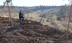 Gölbaşı Belediyesi, Park ve Bahçelerde Peyzaj Çalışmasını Sürdürüyor