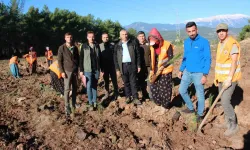 Kumluca’ya 50 Dönümlük Alanda İkinci Bal Ormanı