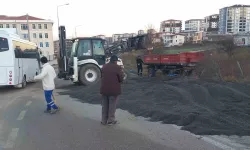 Römork Devrildi: Yol, Ayçiçeği Harmanına Dönüştü