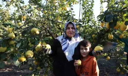 Rusya’nın Ayvası Kahramanmaraş’tan