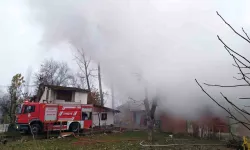 Samsun’da Ahır Yangını: 7 Büyükbaş Hayvan Telef Oldu
