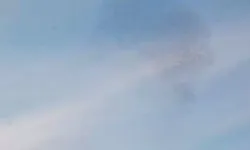 Sığırcıklardan Görsel Şölen