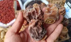 Vatandaşlar Tercih Etmese de Kış Aylarında Tüketilmesi Çok Yararlı