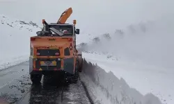 Yüksekova-Şemdinli Kara Yolu Ulaşıma Açıldı