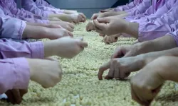 9 Milyon 730 Bin Ton Fındık İhraç Edildi