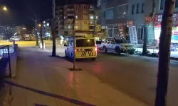 Ağabey ve Kardeşin Arbedesi Kanlı Bitti