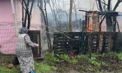 Ahıra Kurulan Soba Hayvanları Telef Etti, Yaşlı Bayan Hudut Krizi Geçirdi