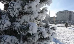 Ardahan’da Dondurucu Soğukları: Göle -29,8 Derece
