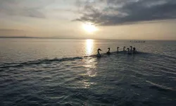 Arin Gölü Ötücü Kuğuları Konuk Etmeye Devam Ediyor