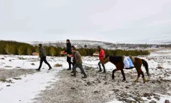 At Sırtında Yaban Hayvanları İçin Tabiata Yem Bırakıldı