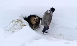 Bahçesaray’da Kar Tesirli Oluyor