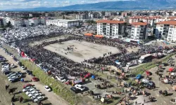 Balıkesir’de Deve Güreşini Binlerce Kişi İzledi