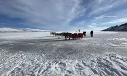 Çıldır Gölü’nde Atlı Kızak Keyfi Başlıyor