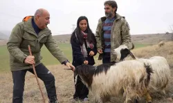 Çobanlık Yapan İki Üniversite Mezunu Emine’nin Hayali Yeni Yılda Gerçek Oldu