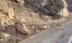 Dağ Keçileri Yol Kenarına İndi