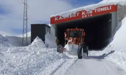 Dicle Nehri’nin Çatısını Oluşturan Bahçesaray ve Çatak Çaylarındaki Su Düzeyi Düştü