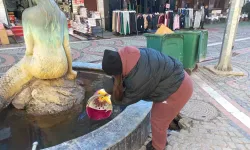 Edirne Kuru Ayaza Teslim Oldu, Havuzlar Dondu