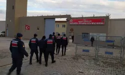 Gaziantep’te ’Kalkan’ Operasyonu: 47 Kaçak Göçmen Organizatörü Yakalandı