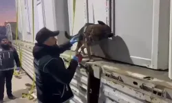 Konteyner Yüklü Tırda 146 Kilo Uyuşturucu Ele Geçirildi: 3 Gözaltı