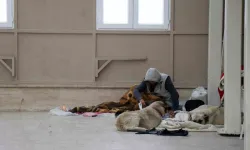 Köpekleriyle Şadırvanı Mesken Tuttu, Cami Cemaati Abdest Alamaz Oldu