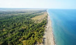 Lider Kılıç: "Terme Karadeniz’in Gözdesi Olacak"