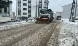 Tuzlama ve Küreme Mevsimi Başladı