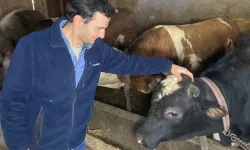 Üniversite Mezunu Genç Köye Yerleşip Besici Oldu