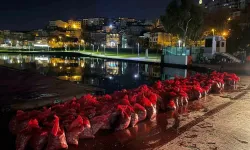 Üsküdar’da 6 Ton Kaçak Midye Ele Geçirildi