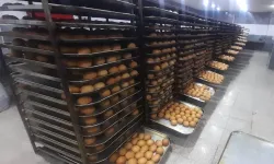 Uygulama Oteli, Ürettiği Roll Ekmekle İsrafın Önüne Geçiyor