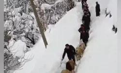 Vatandaşlar Sürü ile Birlikte Kuzuları Kucaklarında Taşıdılar